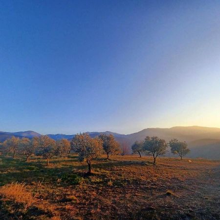 Un Petit Oasis En Plein Centre De Ceret. Villa Exterior foto