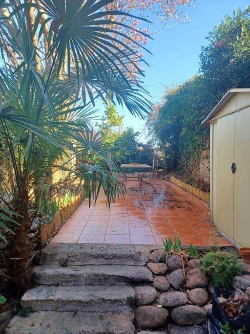 Un Petit Oasis En Plein Centre De Ceret. Villa Exterior foto