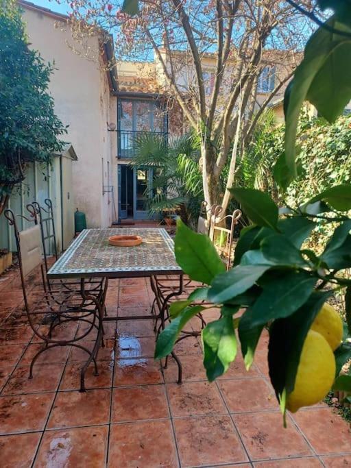 Un Petit Oasis En Plein Centre De Ceret. Villa Exterior foto