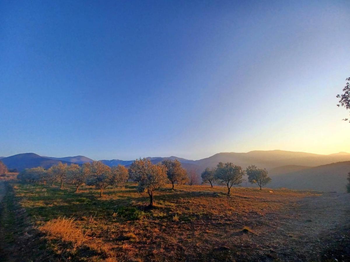 Un Petit Oasis En Plein Centre De Ceret. Villa Exterior foto