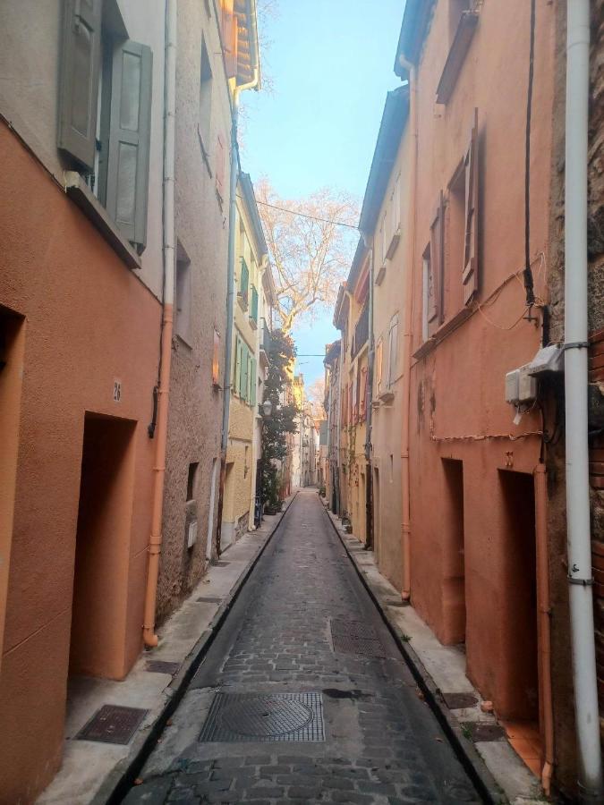 Un Petit Oasis En Plein Centre De Ceret. Villa Exterior foto