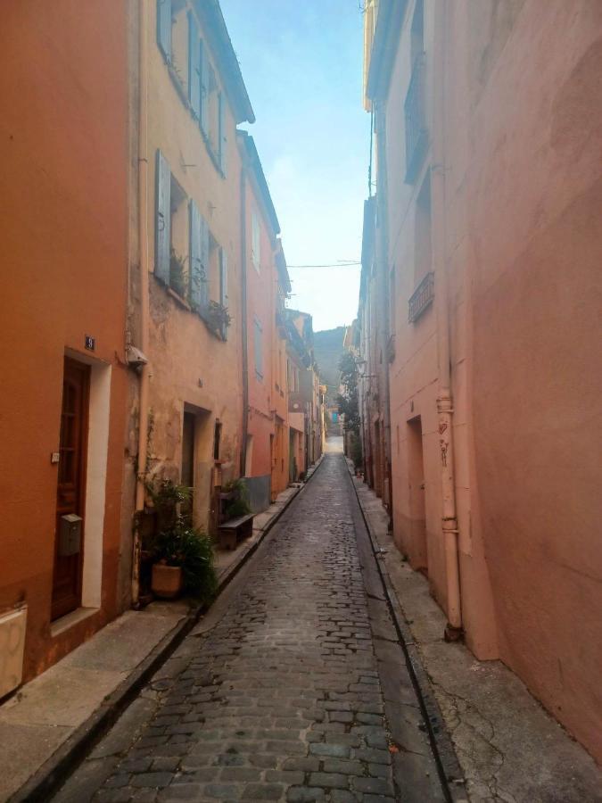 Un Petit Oasis En Plein Centre De Ceret. Villa Exterior foto